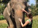 Ao Nang Elephant Sanctuary Ethical Tour