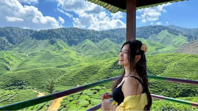 Cameron Highlands Day Tour: Tea Plantations & Floral Paradis sightseeing activity photo - Cameron Highlands travel experience