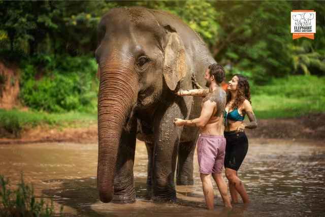 清迈大象丛林保护区全日游 sightseeing activity hero photo - Chiang Mai travel experience
